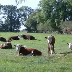 Froslev 3* Padborg