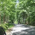 Froslev Padborg