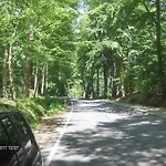 Froslev