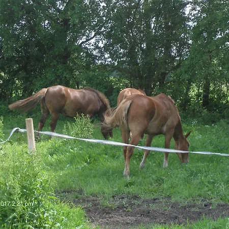Froslev Мини-отель
