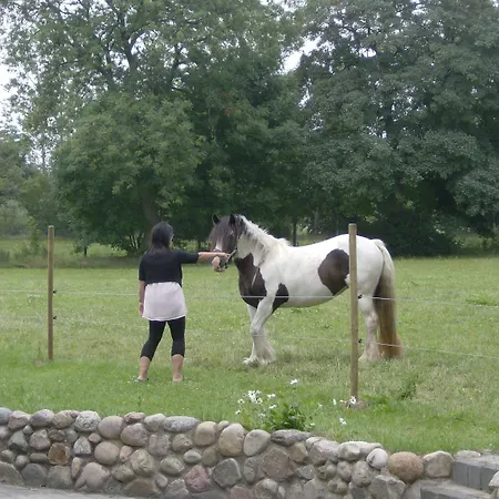 Мини-отель Froslev Падборг