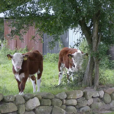 Мини-отель Froslev 3*