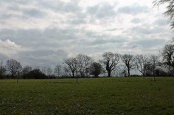 Froslev