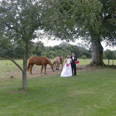 Мини-отель Froslev Падборг