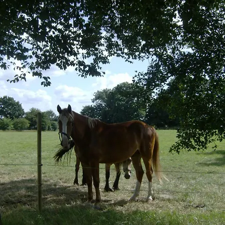 Froslev Мини-отель