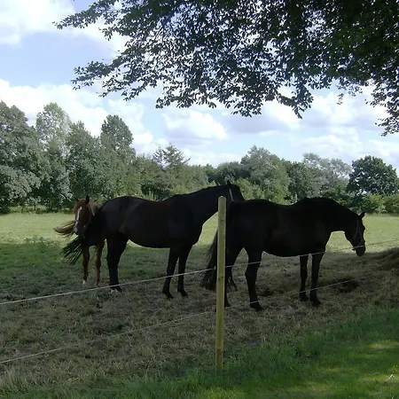 Mini-hôtel Froslev 3*