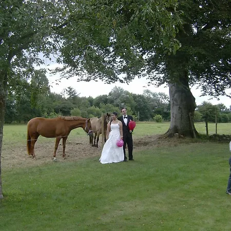 Mini-hôtel Froslev 3*