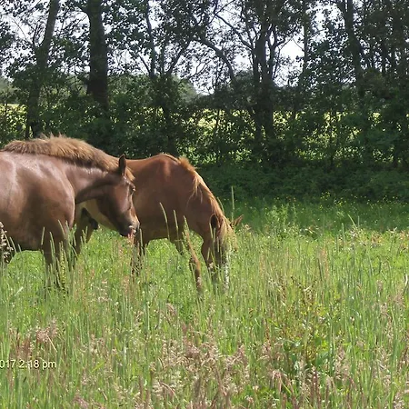 Мини-отель Froslev Падборг